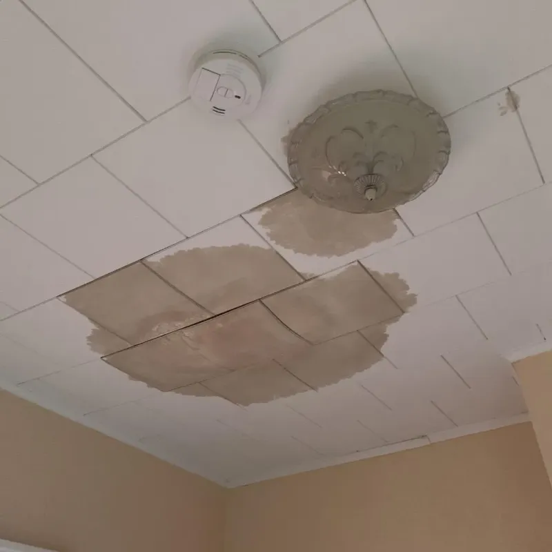 Ceiling Water Damage Repair in Quebrada, PR